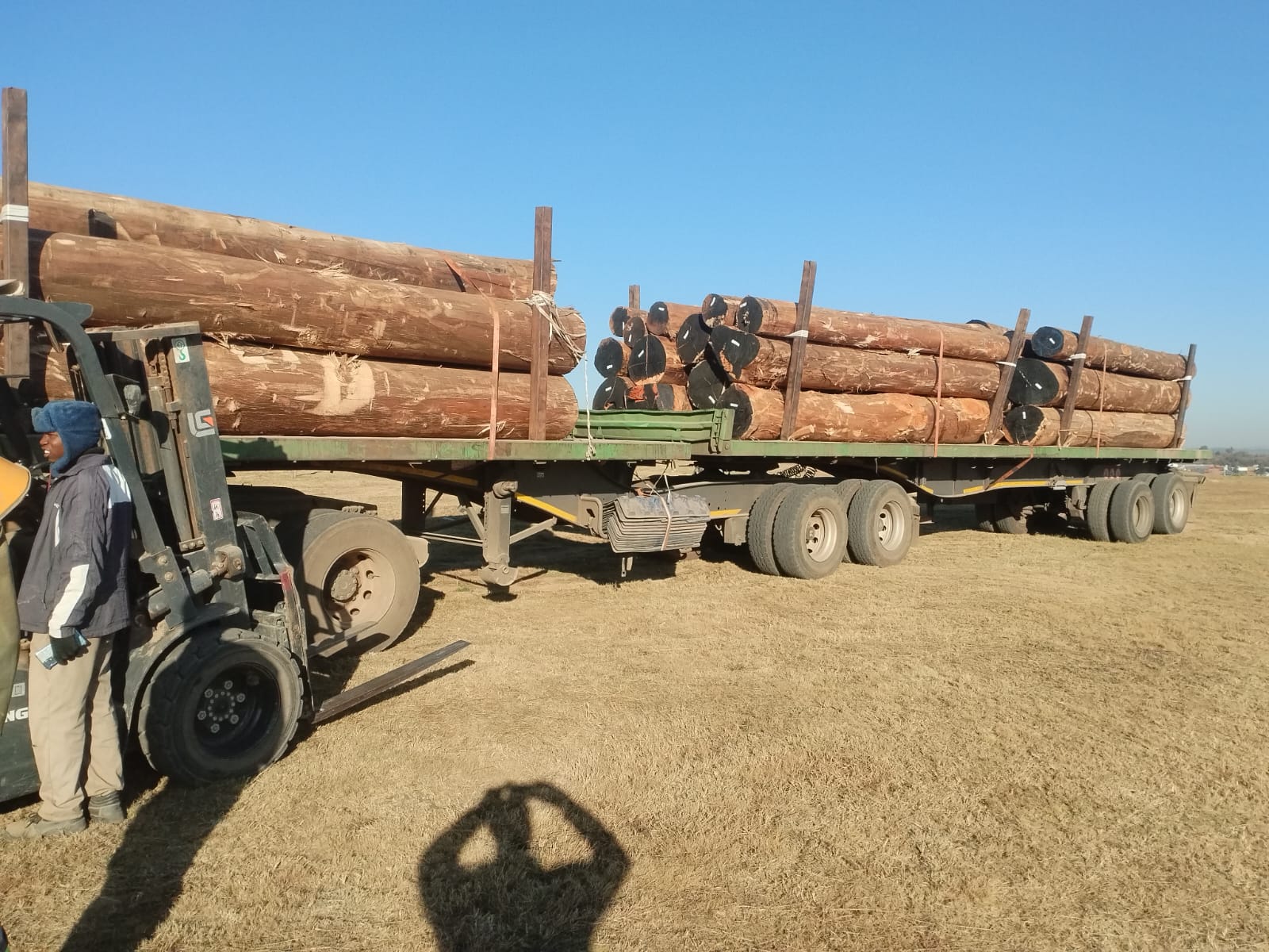 Timber being milled into dowels